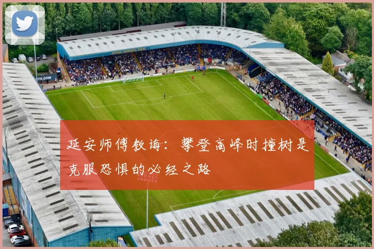 延安师傅教诲：攀登高峰时撞树是克服恐惧的必经之路