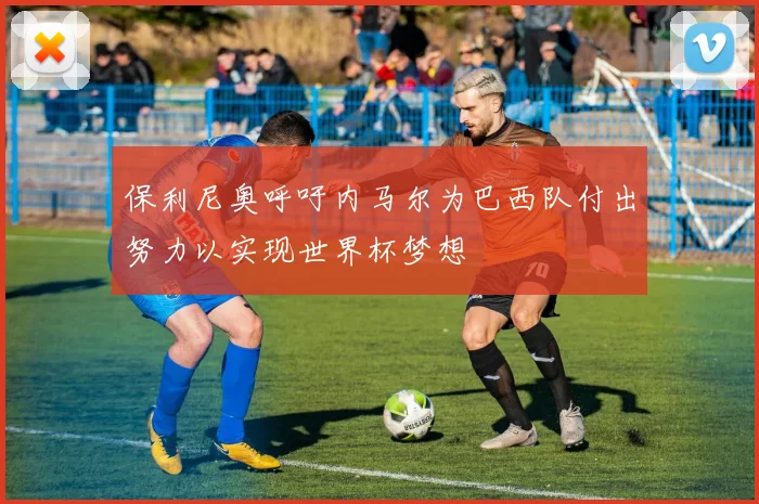 保利尼奥呼吁内马尔为巴西队付出努力以实现世界杯梦想
