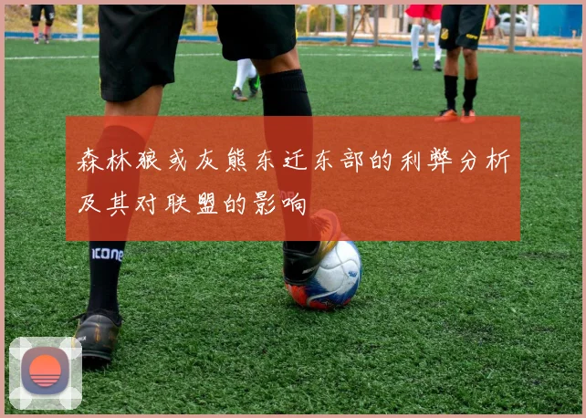 森林狼或灰熊东迁东部的利弊分析及其对联盟的影响